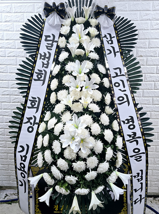 ST-FB226