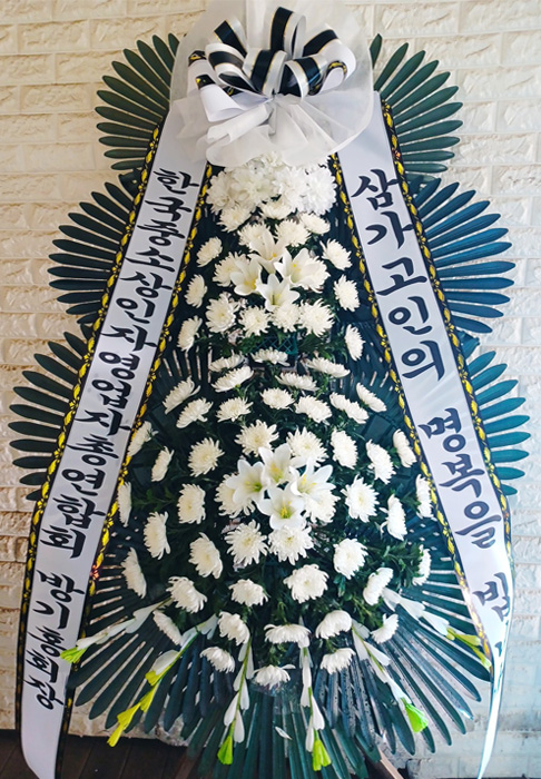 ST-FB233
