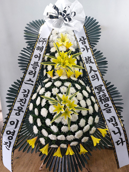 ST-FB233