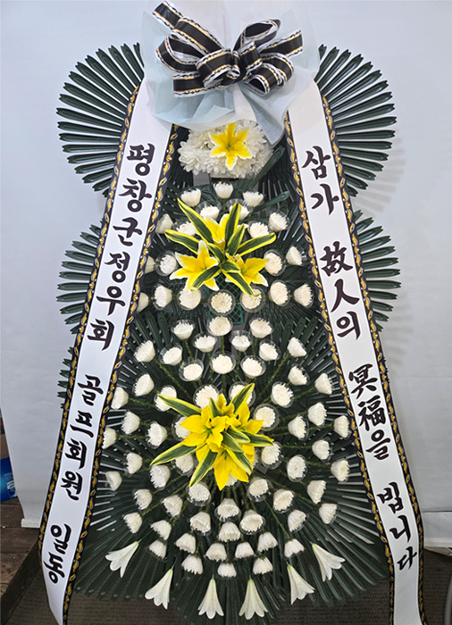 ST-FB141
