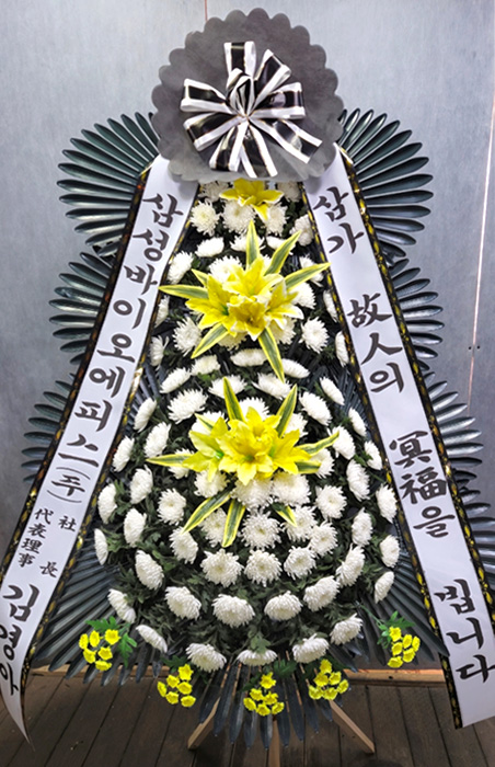ST-FB154