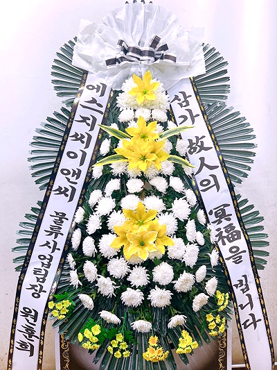 ST-FB154