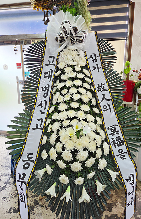 ST-FB233