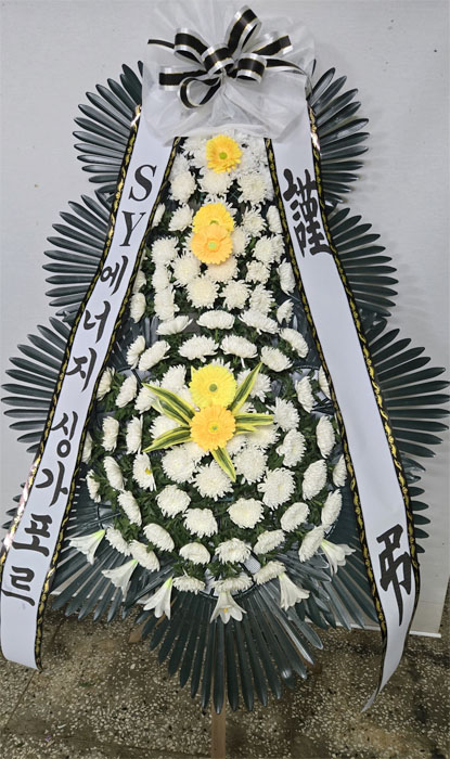 ST-FB154