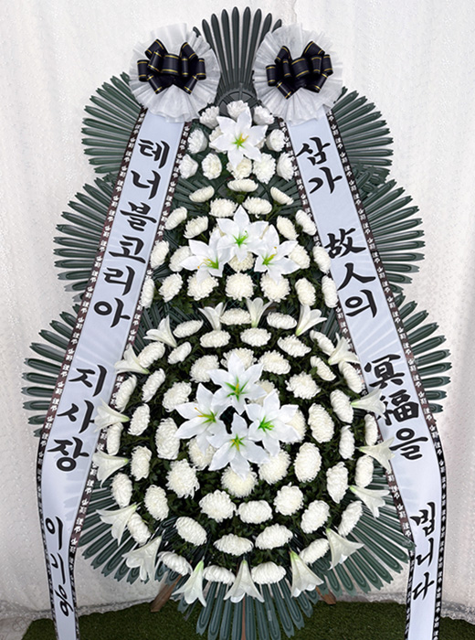ST-FB226