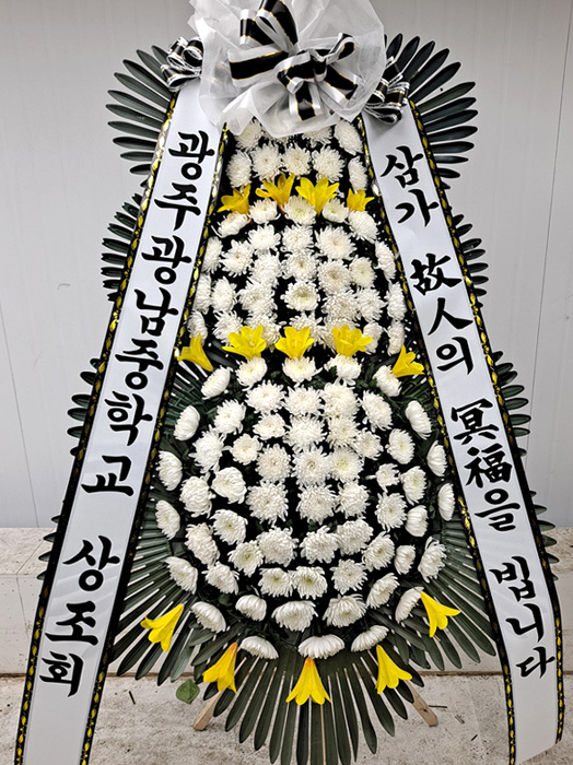 ST-FB233