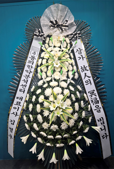 ST-FB226