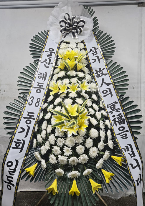 ST-FB154