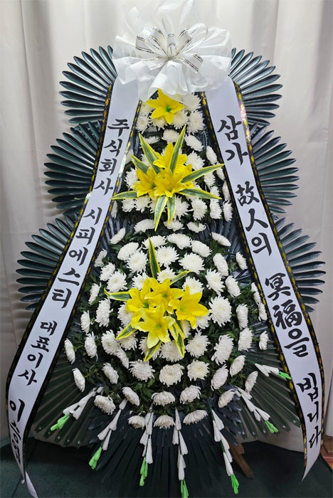 ST-FB154