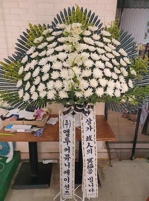 ST-FB260