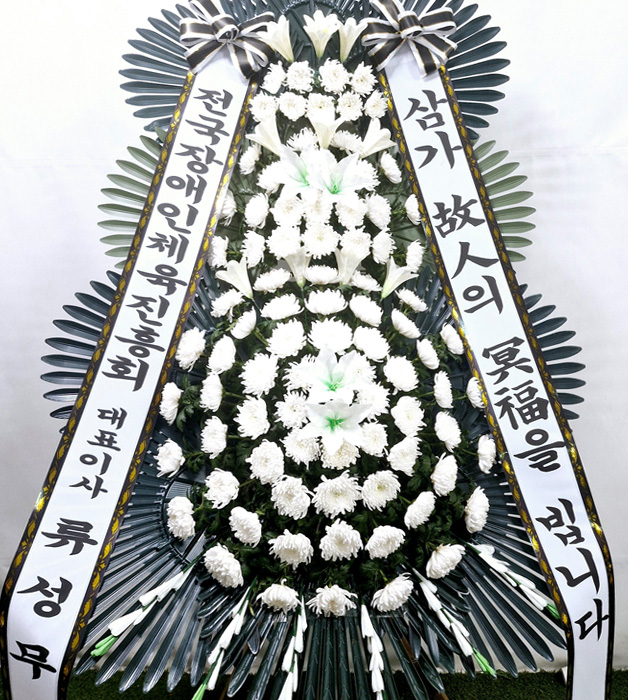 ST-FB233