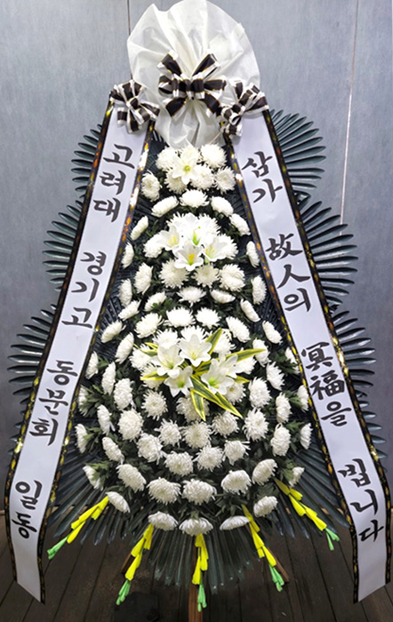 ST-FB226