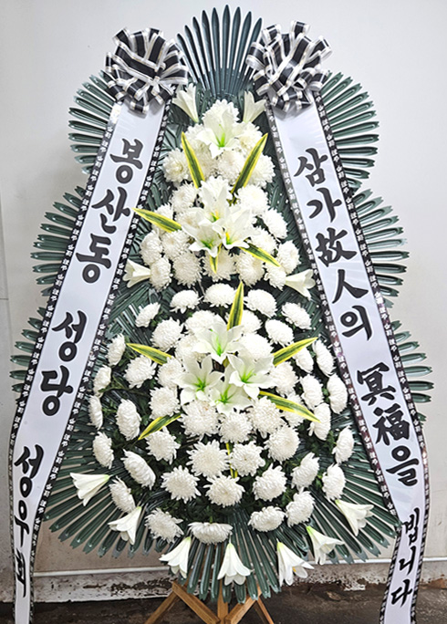 ST-FB226