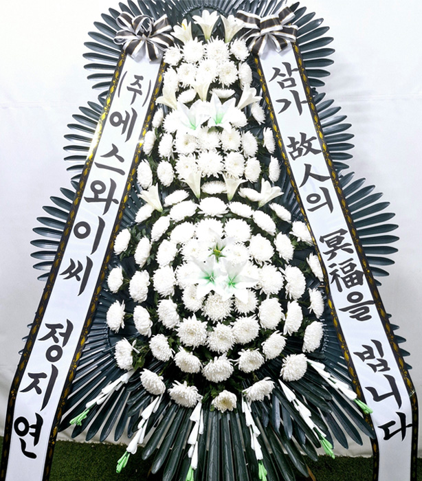 ST-FB233