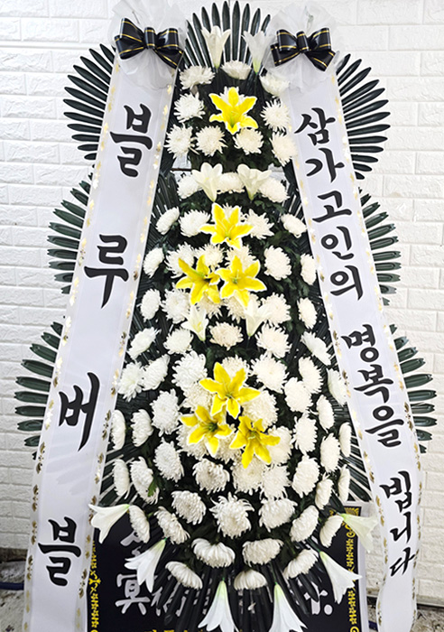 ST-FB058