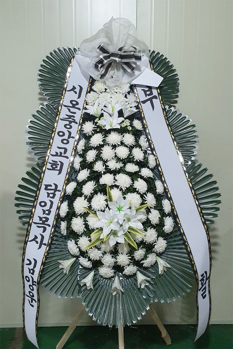 ST-FB226