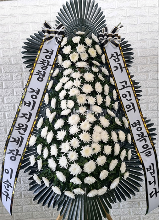 ST-FB233