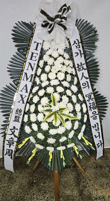 ST-FB233