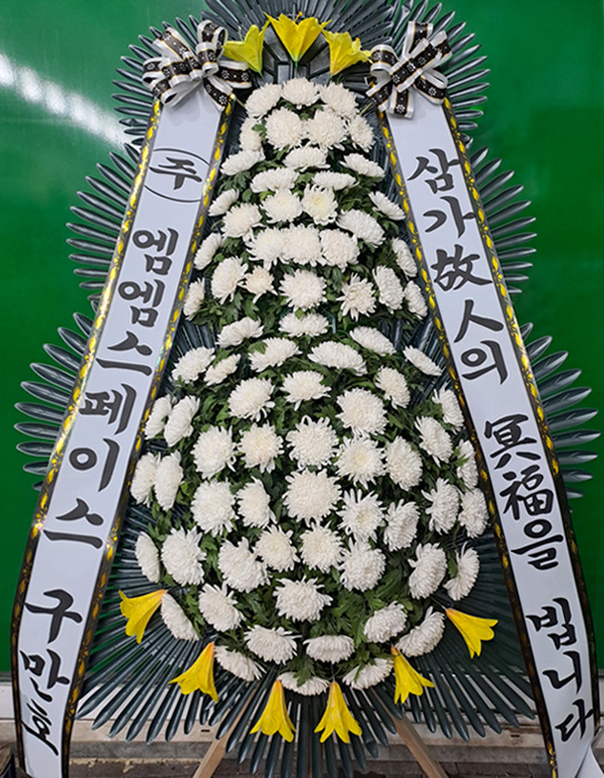 ST-FB233