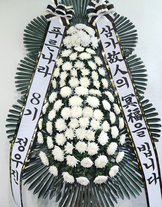 ST-FB233
