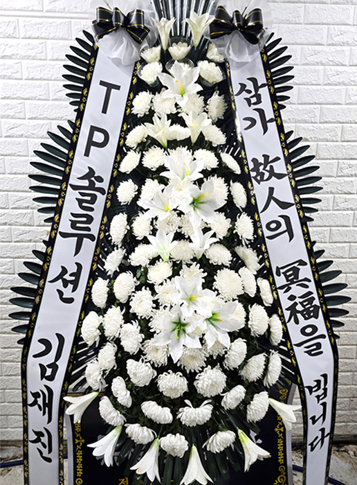 ST-FB233