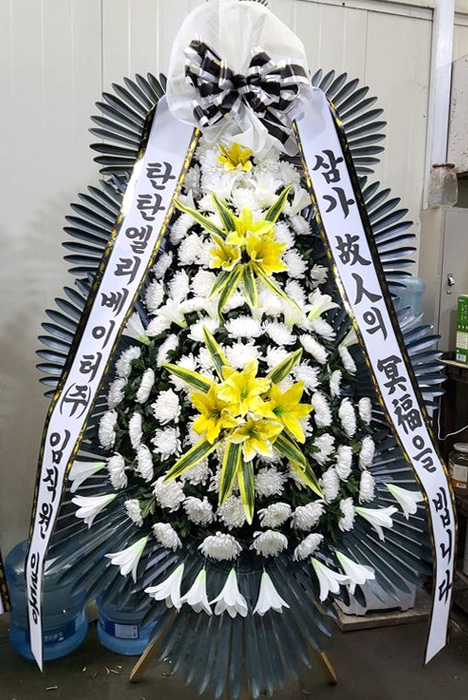 ST-FB154