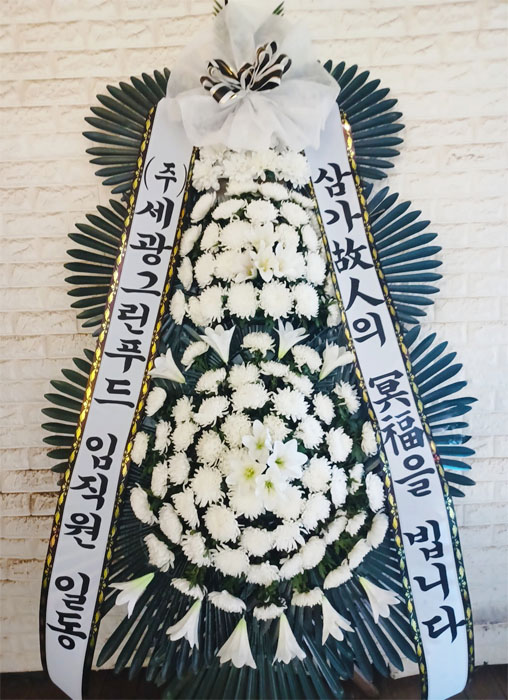 ST-FB233