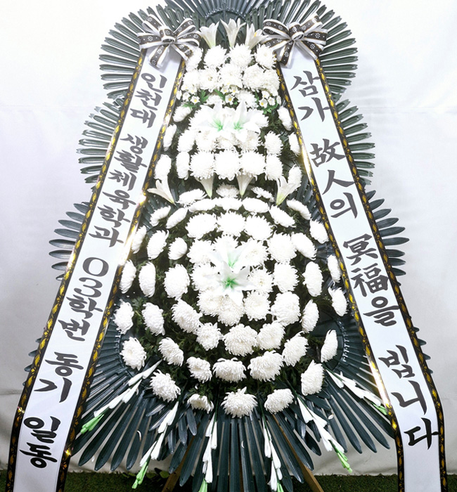 ST-FB226
