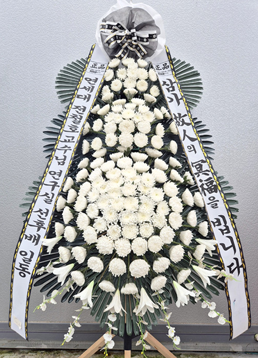 ST-FB252