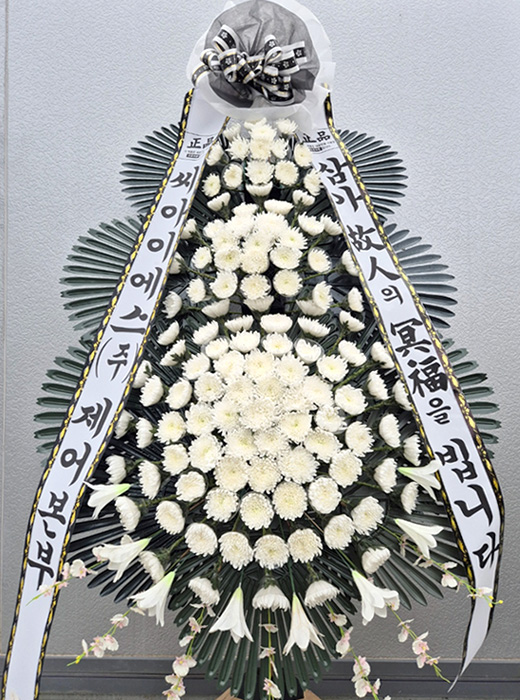 ST-FB233