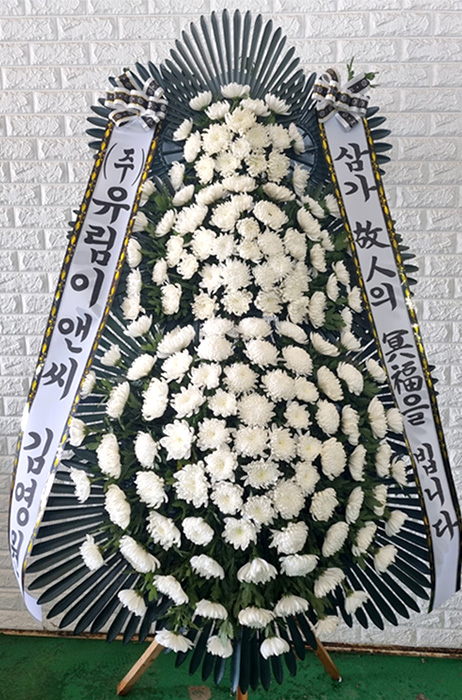 ST-FB233
