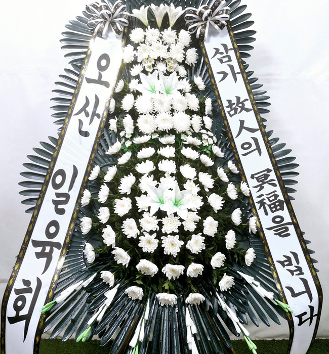 ST-FB226
