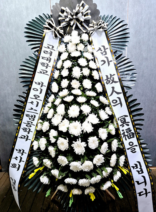 ST-FB233