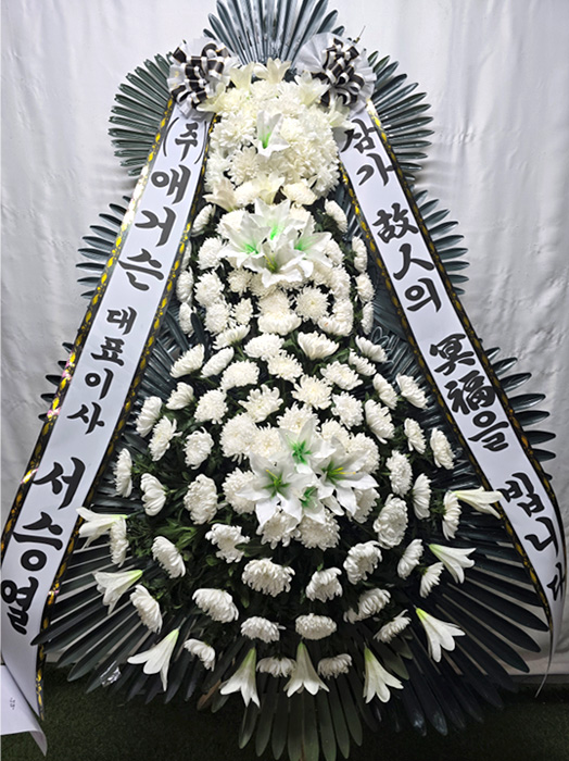 ST-FB226