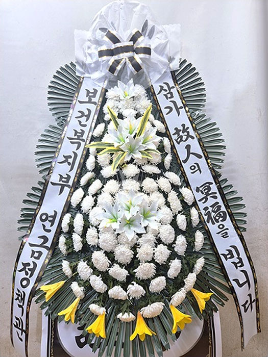 ST-FB226