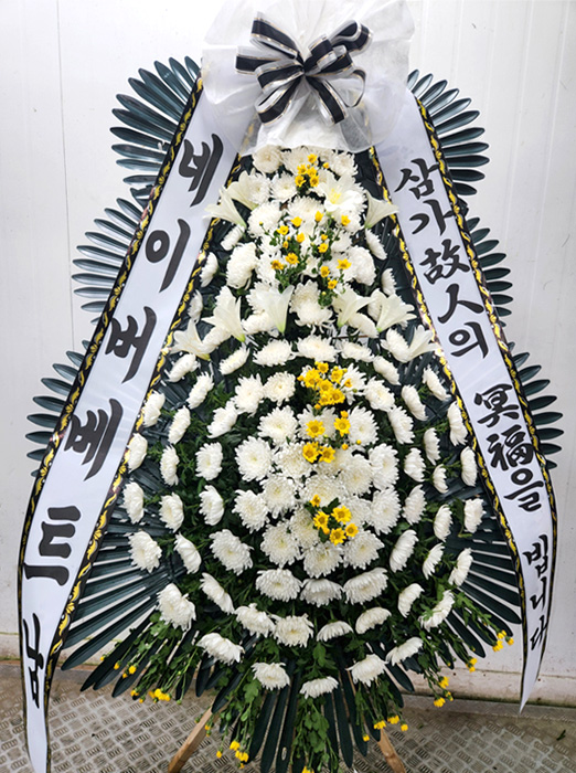 ST-FB154