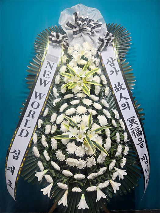 ST-FB226