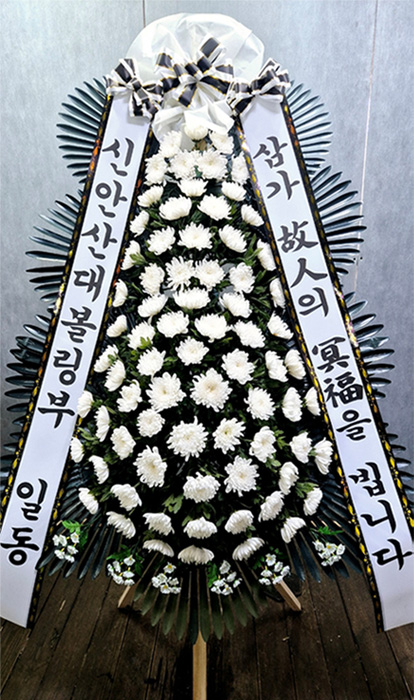 ST-FB233