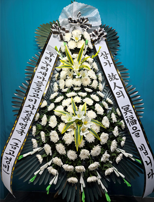 ST-FB226