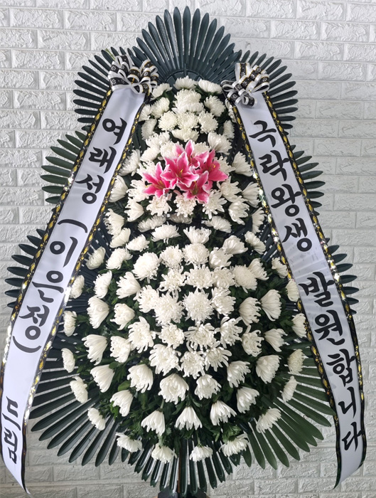 ST-FB141