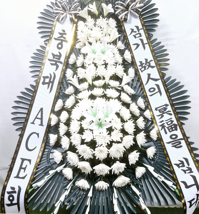 ST-FB226