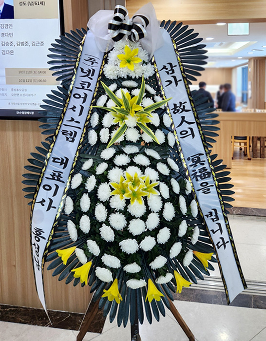 ST-FB232