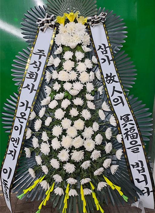 ST-FB233