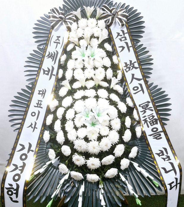 ST-FB226