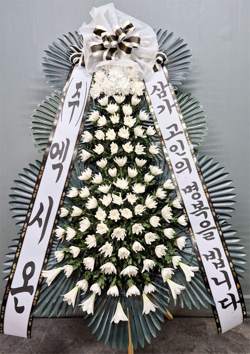 ST-FB233