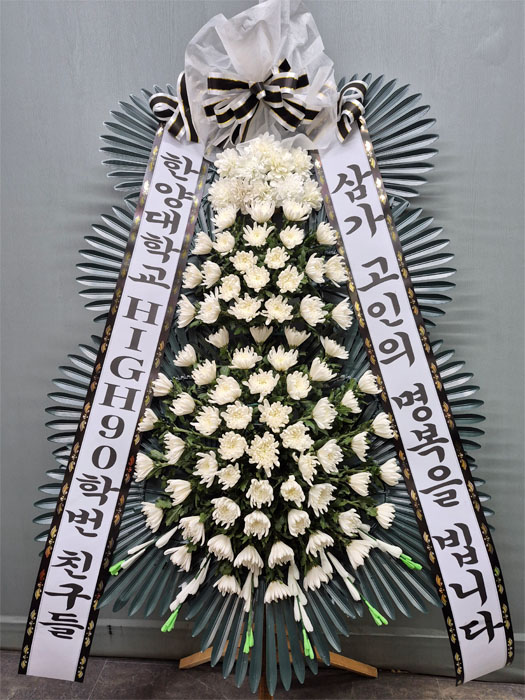 ST-FB233