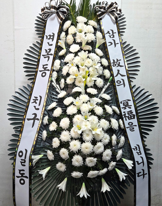 ST-FB226