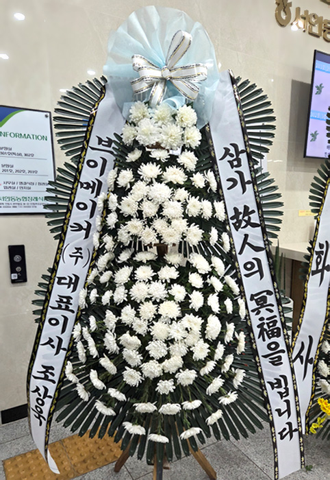 ST-FB233