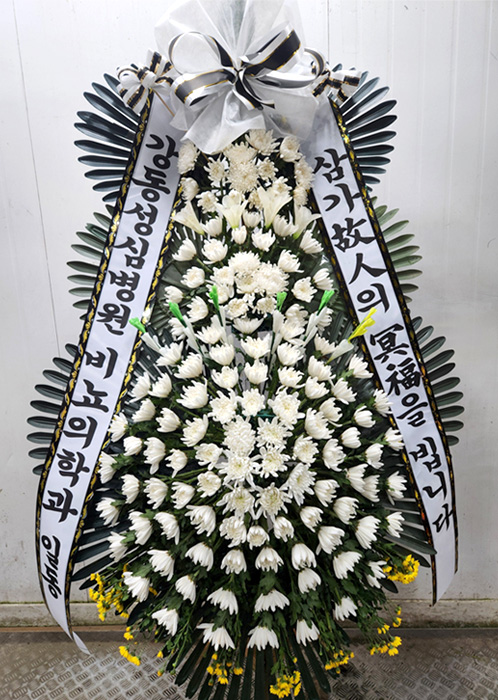 ST-FB226