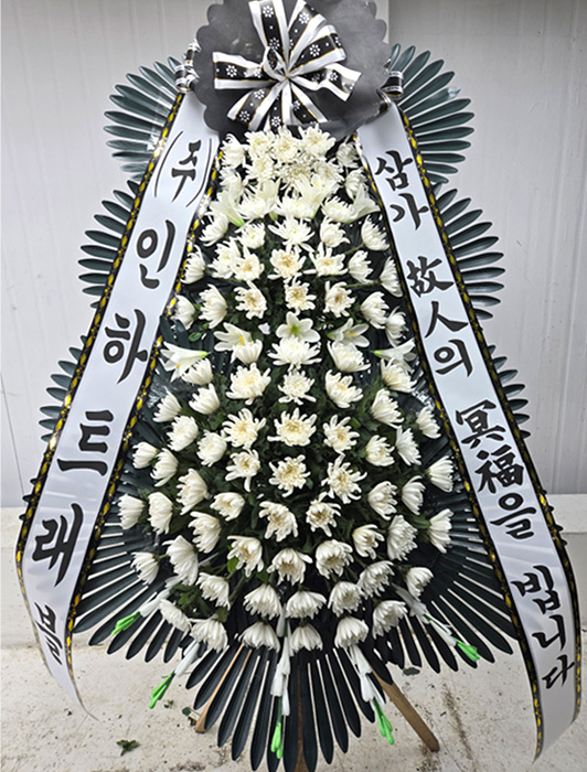 ST-FB233
